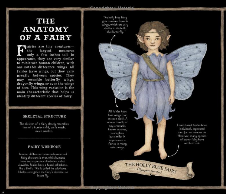 A Natural History of Fairies