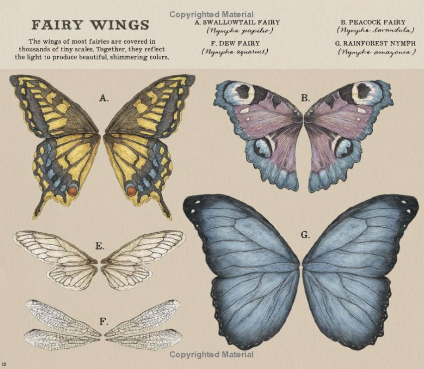 A Natural History of Fairies