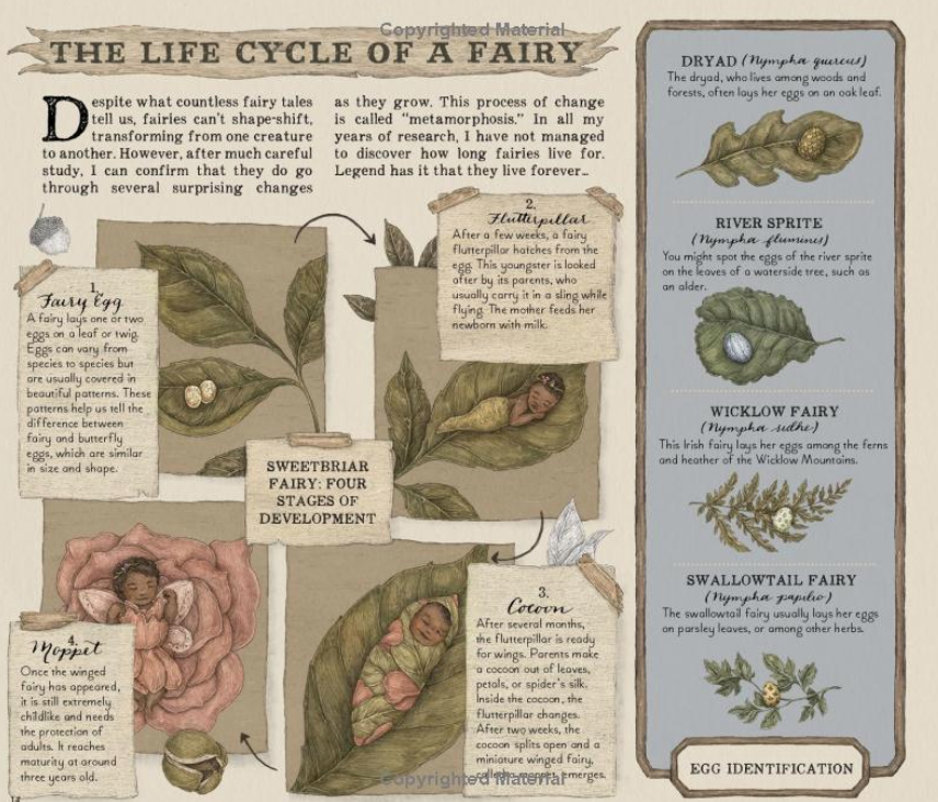 A Natural History of Fairies