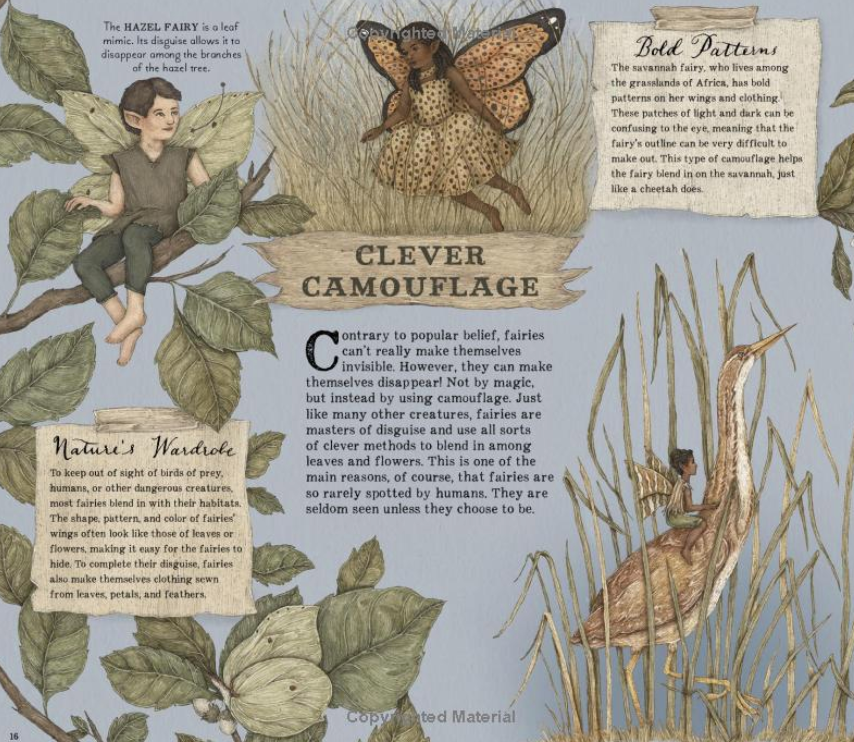 A Natural History of Fairies