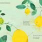 Lemon Child