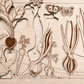 SECRET GARDEN WOODEN PUZZLE